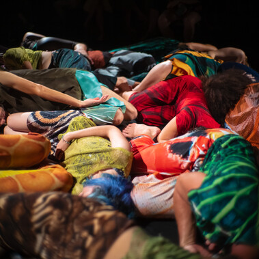A group of people lying on the ground, close together, wearing colourful costumes that resemble vegetation.