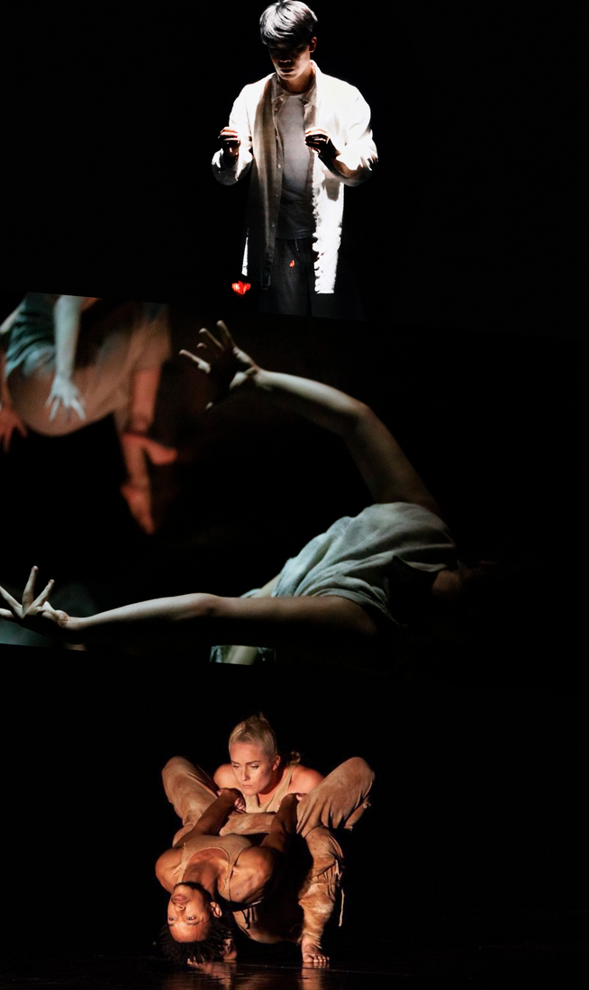 This image is divided into three parts. On the top, a person dressed in white stands in a dim spotlight against a dark background, holding their hands raised to chest level in a gesture, with their face hidden in shadow. In the centre, close-up of a person’s arms with fingers spread, reaching behind their back while lying face down in a lightly lit dark setting. On the bottom, two figures are illuminated by yellow light as one person squats holding another who is upside down, leaning backward and wrapping their thighs around the squatting person.