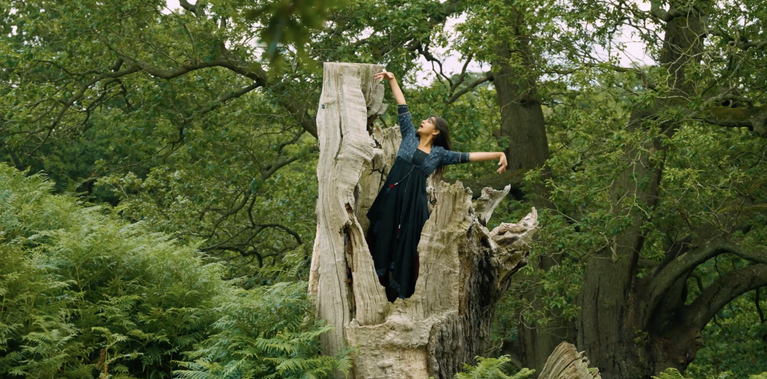 A female dancer in a flowing dark dress stands inside the hollow trunk of a large, weathered tree in a lush forest. With one arm reaching gracefully upward and the other extended sideways, she appears mid-movement, poised and serene, surrounded by dense greenery and tall ferns. The scene evokes a sense of spiritual connection with nature.