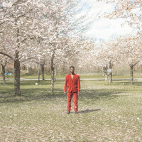 Image of Femi in a hot pink suit standing in a grassy area with trees full with pink blossom