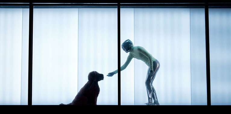 A shiny, silver being, wearing a luminous green jumper, extends their hand towards a brown shaggy dog. They are set against the bright interior of the shipping container.