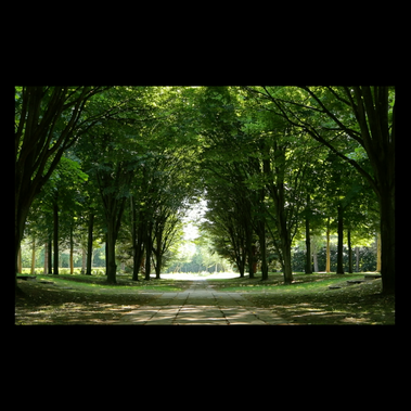 a triptych of images, the central one is of a paved pathway through stately trees with golden daylight, the two mirror image portraits of either side are of a little girl looking intently up as if listening. she is mysteriously enveloped on the greenery of the trees